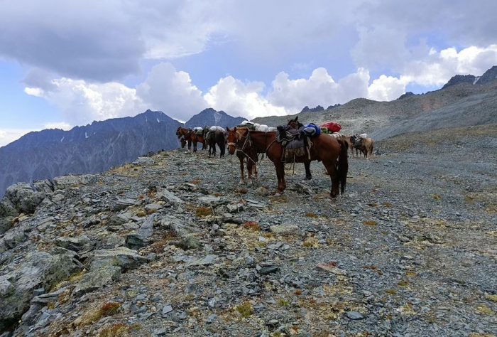 «Закрой глаза и держись за седло» Россиянка преодолела верхом на коне самые труднодоступные маршруты России. Как ей это удалось?