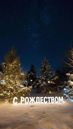 Красивые зимние обои для телефона: 80+ вертикальных картинок на заставку для уютного настроения