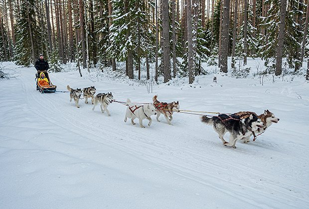 Отдых в Карелии в 2026 году: что посмотреть и чем заняться летом и зимой