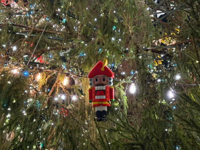 На Дворцовой площади зажгли главную новогоднюю ель Петербурга