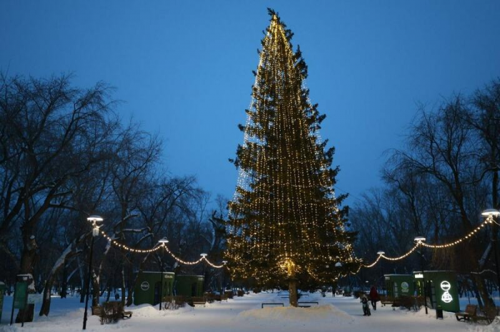 Сияй, Барнаул! Как украсили краевую столицу к Новому году