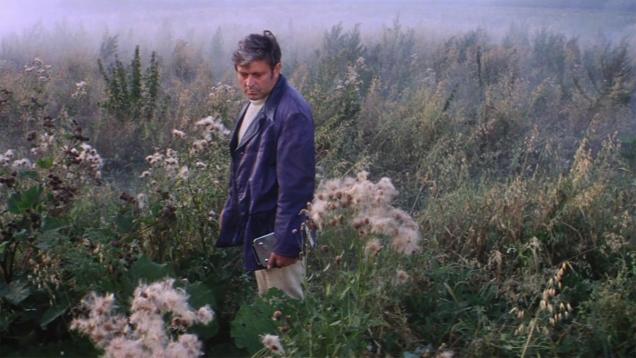 В чём феномен романа «Солярис» Станислава Лема