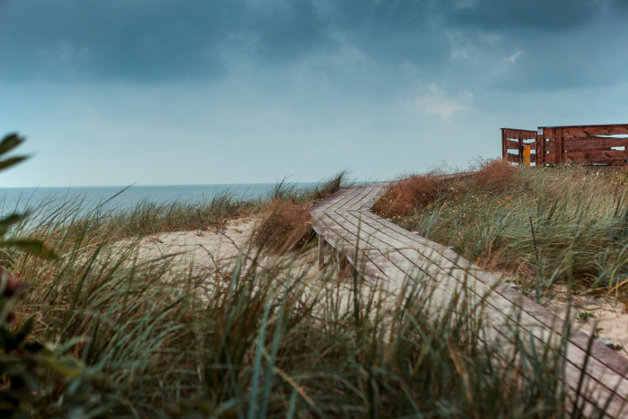 От игольчатого льда Байкала до степных тюльпанов: 8 идей для путешествий этой весной