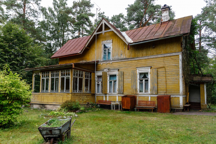 Комарово между прошлым и будущим: что происходит со знаменитым посёлком