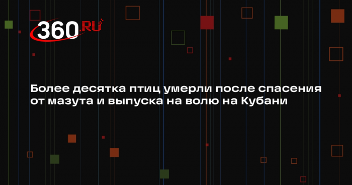 Волонтеры Анапы сняли видео с мертвыми птицами после спасения от мазута