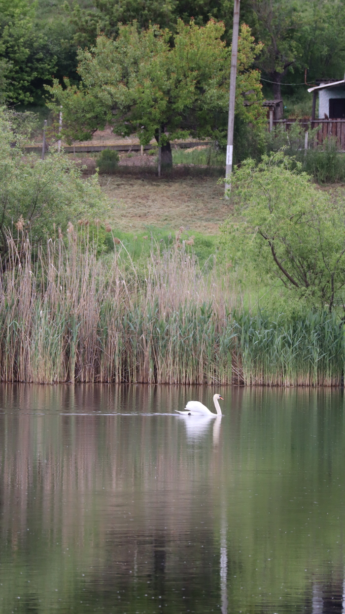Дойбаны ,ПМР