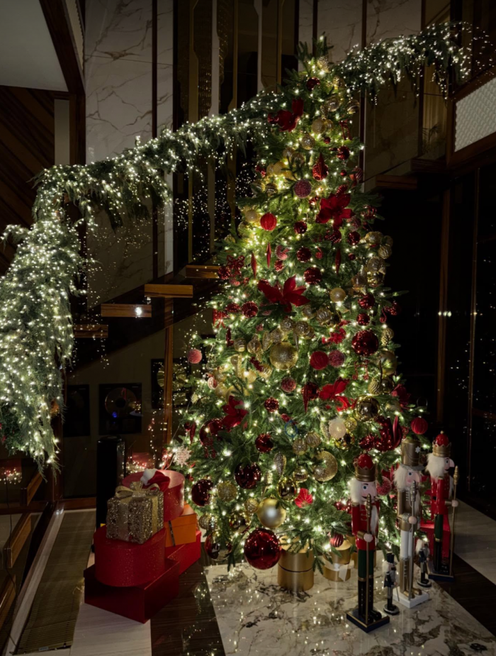 Сушки вместо шаров и гирлянды, которые видно из космоса: самые красивые новогодние елки российских звезд 2026