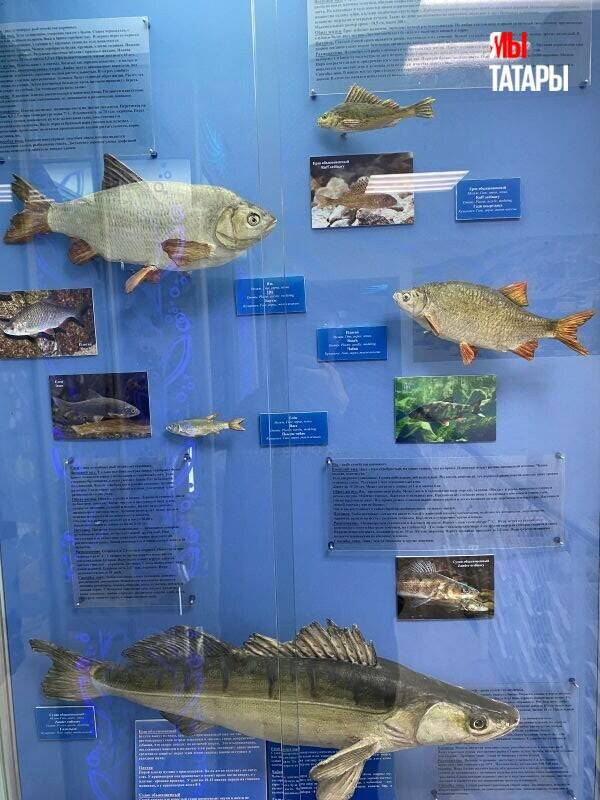 Путешествие по Средневековью, часть 3: Чуру-Барышевское и Тетюшское городища