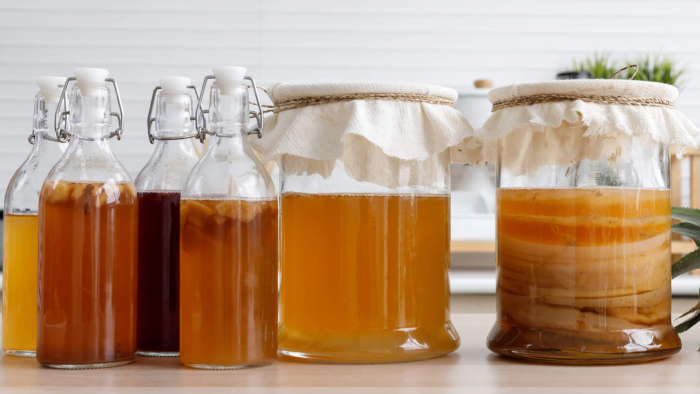 Чайный гриб: что скрывает живой «эликсир» из банки