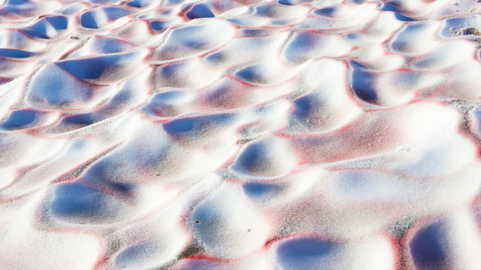 Почему снег бывает не только белый: 3 возможные причины