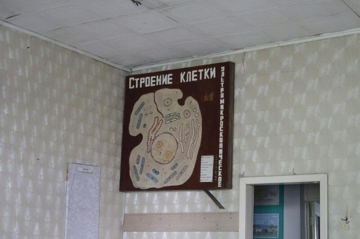 "Может рухнуть". Исторический Горный госпиталь в Барнауле разрушается на глазах