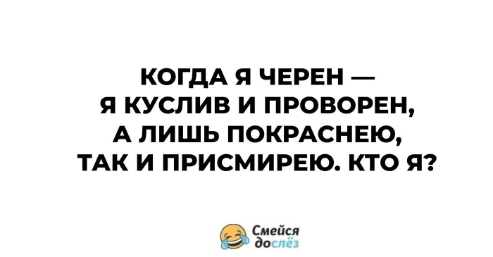 12 загадок, придуманных еще нашими бабушками, но мы гадаем над ними до сих пор
