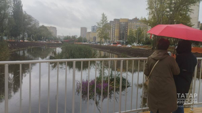 Лысуха и утки: ученый рассказал о благоустройстве озера в парке на Серова