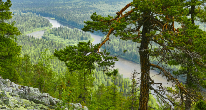 Река Печора: как ее воды чуть не объединили с Камой