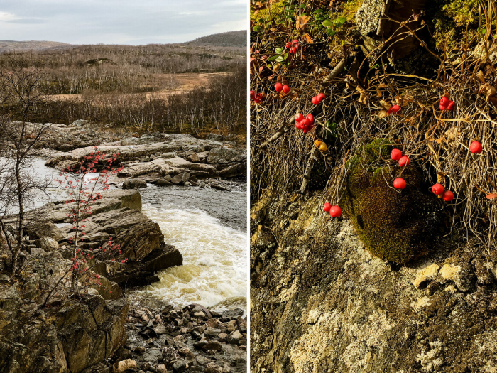 5 причин посетить Кольский полуостров