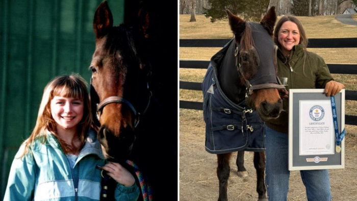 Как живет самая старая лошадь в мире: кобыле Фэнси в апреле исполнится 38 лет