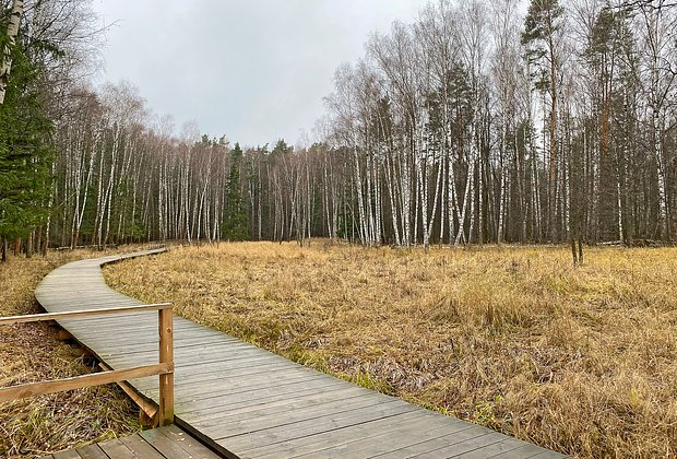 Куда съездить на выходные из Москвы в 2026 году: топ-12 идей для коротких путешествий