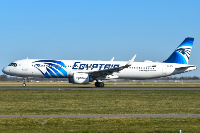Задержки рейсов EgyptAir в Домодедово из-за конфликтов на Ближнем Востоке