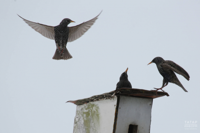 Turogo.ru - Туризм, охота и рыбалка