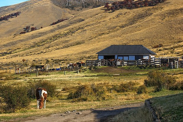 Сын пропавшей Ирины Усольцевой уверен, что исчезнувшая в тайге семья жива. Как по всему миру загадочно пропадают люди?