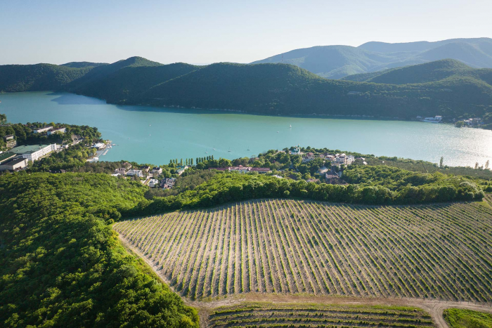 Директор по виноделию «Абрау-Дюрсо» Жорж Бланк — о виноделии во Франции и России