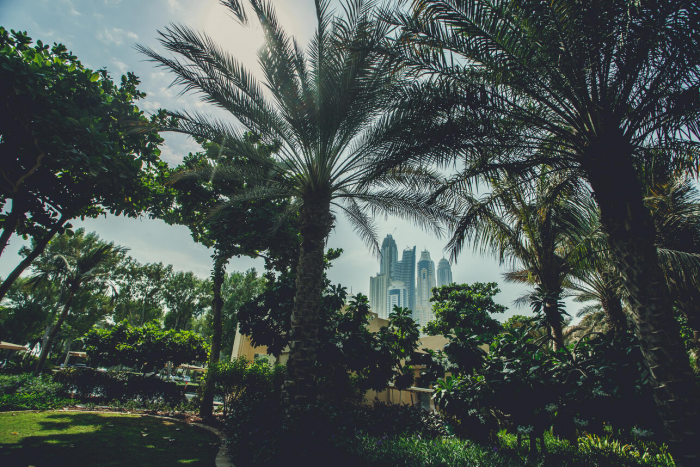 Нумеролог рассказала, куда лучше путешествовать в 2026 году по дате рождения