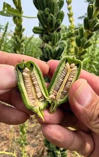 15 интересных фактов как доказательство, что всё не так банально, как кажется