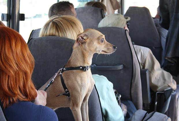 Озеро Байкал: где находится, как добраться, чем заняться зимой и летом