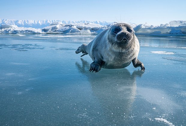 Озеро Байкал: где находится, как добраться, чем заняться зимой и летом