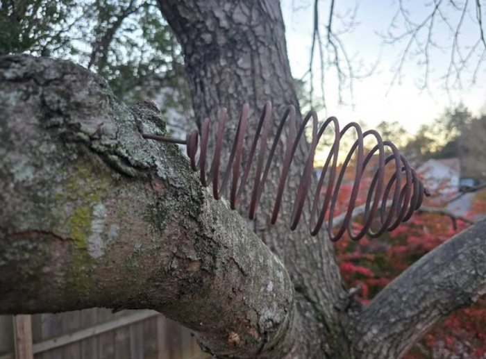 15 человек, которые нашли нечто непонятное и все гадали, что это