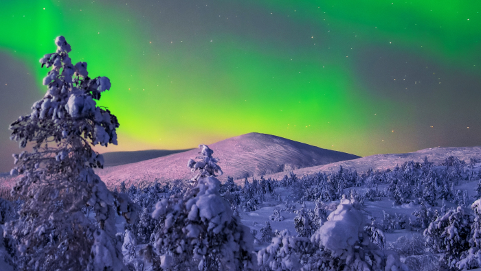 Куда поехать на Новый год в России