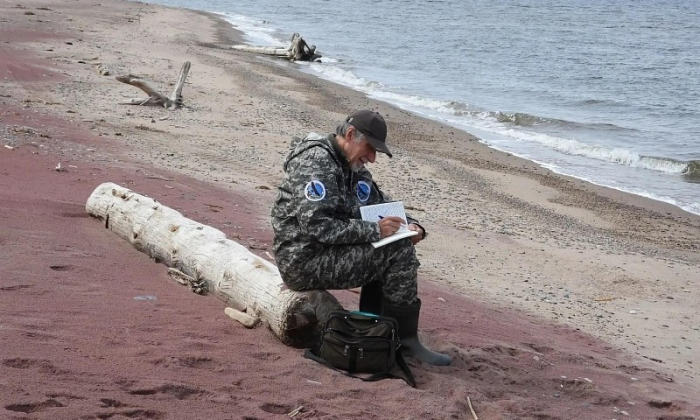В Архангельской области создали единую базу данных о гнездящихся птицах