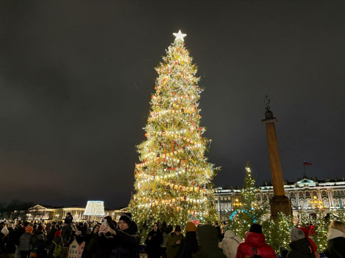 На Дворцовой площади зажгли главную новогоднюю ель Петербурга