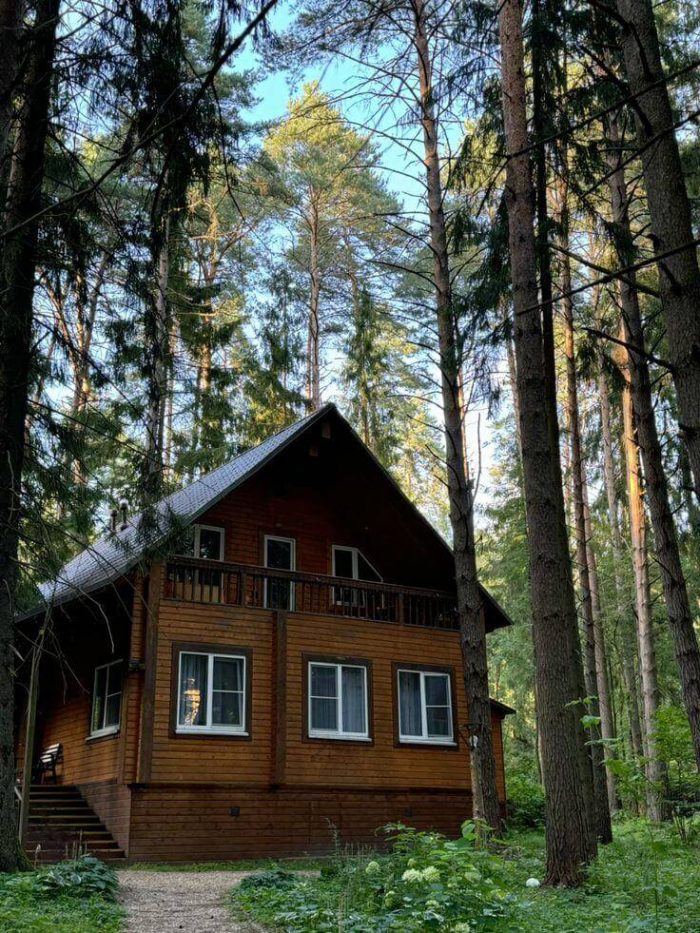 Почему в Германии лучше не ставить палатку в лесу