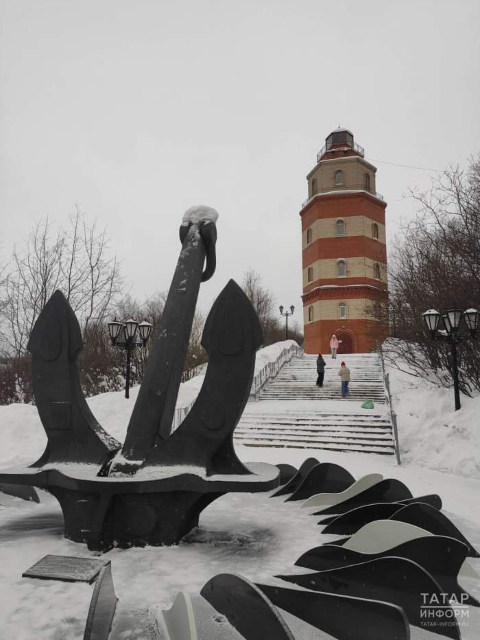 Северное сияние, гонки на хаски, пальмы в тундре: репортаж с края света