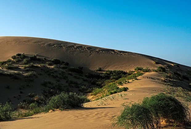 Отдых в Дагестане в 2026 году. Все об отпуске в горной республике: природа, экстрим, достопримечательности