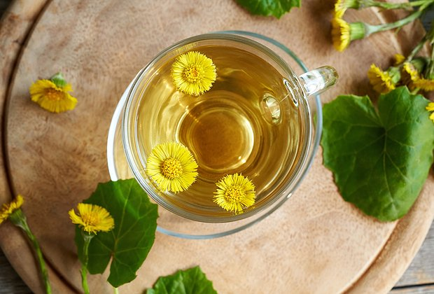 Первоцветы: какие растения цветут ранней весной в природе и в саду