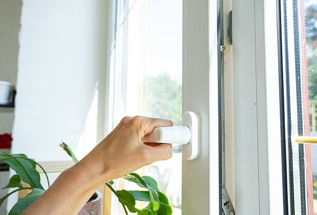 Как вырастить хорошую рассаду: сроки и правила посадки, секреты ухода