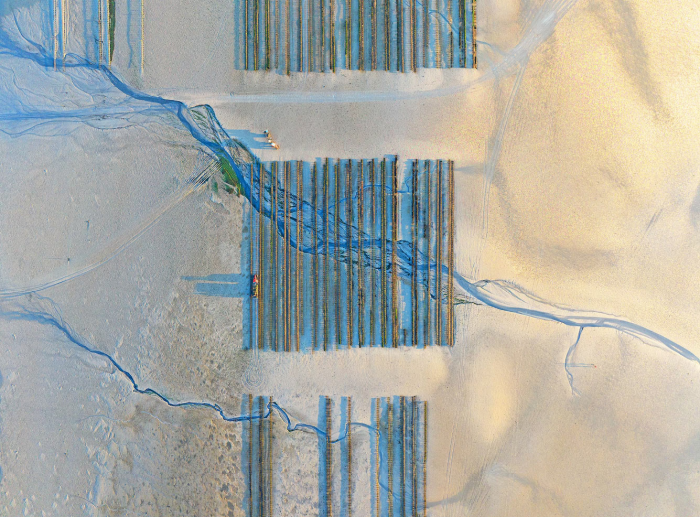 Финалисты профессионального конкурса Sony World Photography Awards 2026