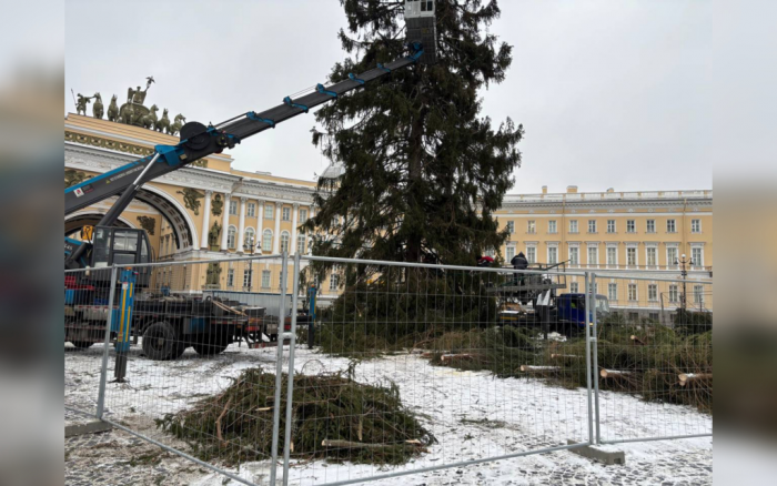 На Дворцовую площадь в Петербурге поставили главную новогоднюю ель города