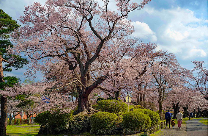 Топ-10 стран, где рады туристам