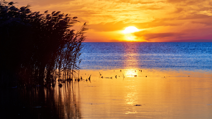 Каспийское море — это озеро?