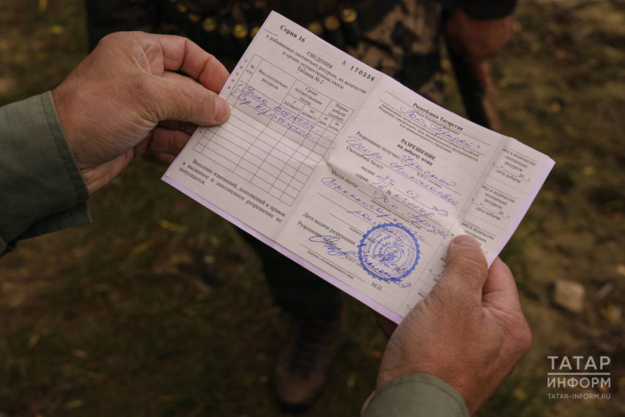 Гости из других городов, рейды и штрафы: Татарстан открыл сезон охоты на гусей и селезней