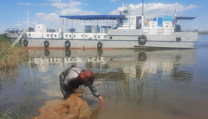 Воды ждем больше нормы, но насколько? Сергей Шипулин – об уровне половодья и нересте рыбы