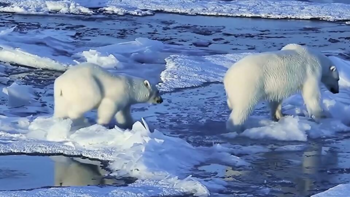 Русская Венеция: какие четыре города России могут уйти под воду