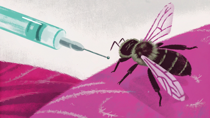 7 изобретений, которые люди подсмотрели у природы