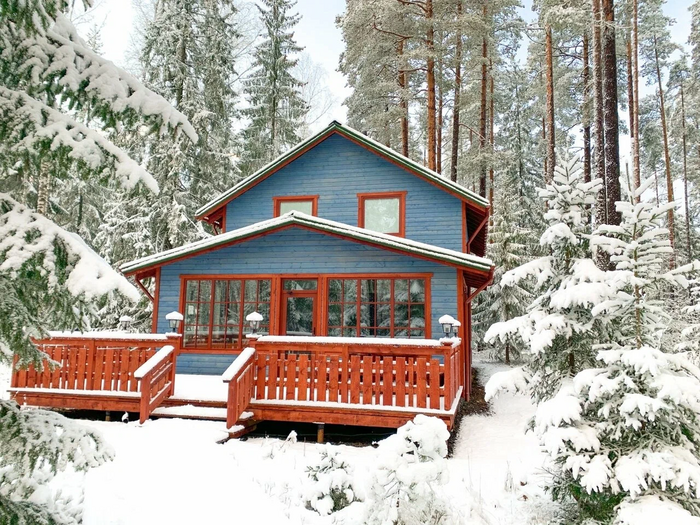 Альпаки, капуцины и лошади: отели России с собственными фермами