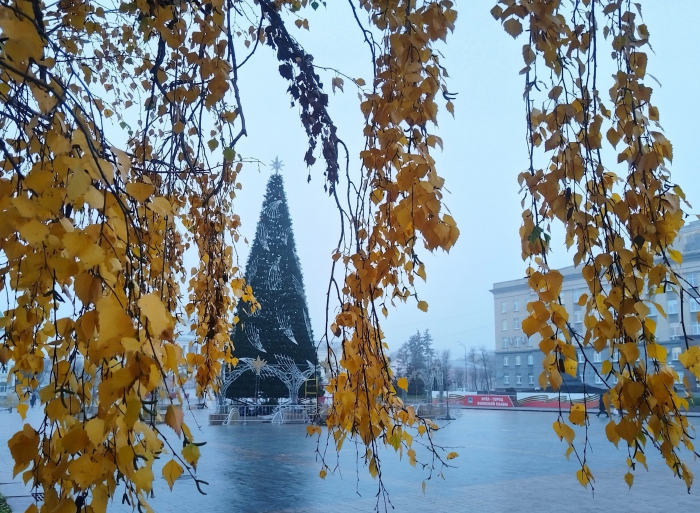 Главные новогодние ели Орла через призму времени