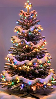 Красивые зимние обои для телефона: 80+ вертикальных картинок на заставку для уютного настроения