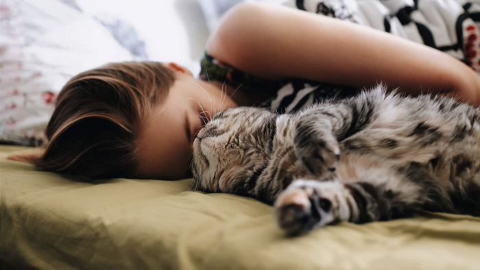 Почему после обеда хочется спать